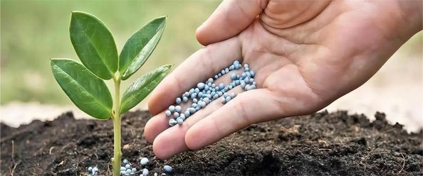 qualità Alimento e additivi alimentari fabbrica