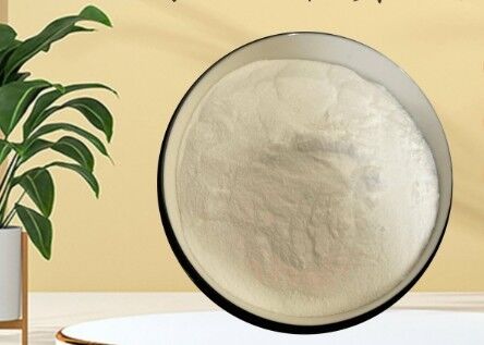 Un buon prezzo. CAS 90-80-2 E575 Glucono-delta-lattone GDL in polvere per la panetteria, l'industria lattiero-casearia in linea