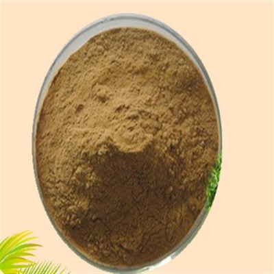 Un buon prezzo. CAS 84604-15-9 Serenoa Serrulata Estratto di frutta ISO Factory Saw Palmetto Estratto in linea