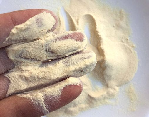 Un buon prezzo. CAS 73049-73-7 Idrolizzato proteico solubile in acqua Peptone per applicazioni microbiologiche in linea