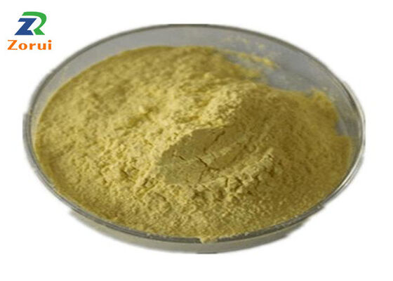 Un buon prezzo. Estratto di Sophora Japonica/ Quercetina in polvere per tosse soppressore ed espettorante CAS 117-39-5 in linea