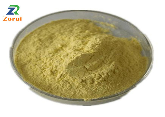 Un buon prezzo. Il sophora japonica estrae la massa della polvere della quercetina per l'espettorante CAS 117-39-5 dell'antitussivo in linea