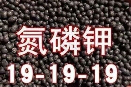 Un buon prezzo. Fertilizzante composto NPK 19-19-19 Promuove la crescita delle piante e massimizza i raccolti 19:19:19 in linea