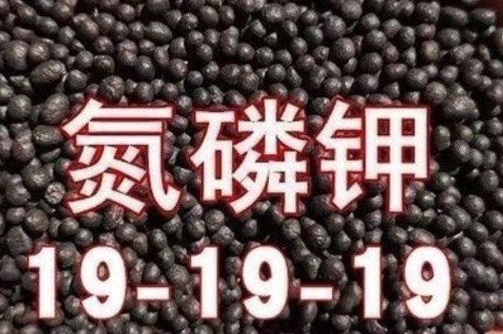 Un buon prezzo. NPK 19-19-19 Fertilizzante composto che favorisce la crescita delle piante e massimizza i raccolti 19:19:19 in linea