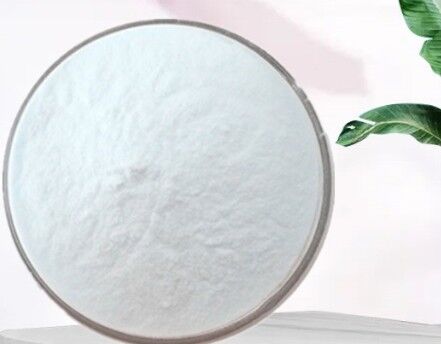 Un buon prezzo. Grasso di cocco naturale in polvere bianca per uso alimentare di latte di cocco in polvere per prodotti alimentari in linea
