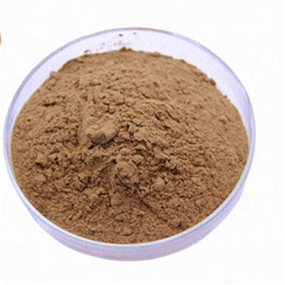 Un buon prezzo. Flavonoide antiossidante di grado cosmetico CAS 90045-36-6 dell'estratto del Ginkgo Biloba per la cura della pelle antinvecchiamento in linea