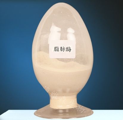 Un buon prezzo. Enzima Lipasi CAS 9001-62-1 per il Metabolismo dei Lipidi 99% Purezza in linea