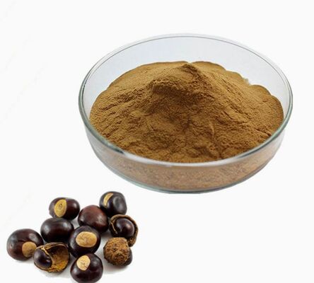 Un buon prezzo. Estratto di castagna d'India per cosmetici antinvecchiamento dell'estratto di semi di Aesculus Hippocastanum di CAS 8053-39-2 in linea