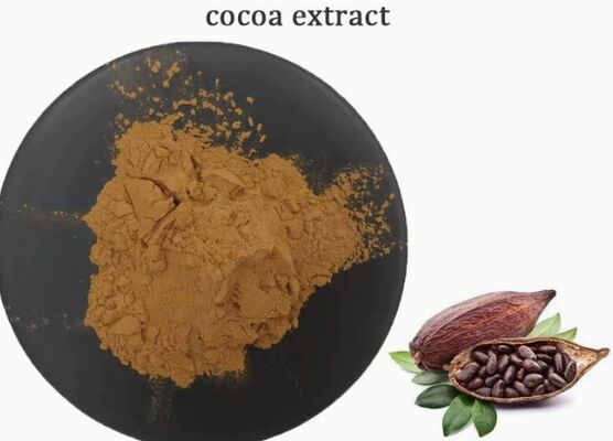 Un buon prezzo. Estratto di cacao Theobroma CAS 84649-99-0 per estratto di cacao per alimenti e bevande in linea