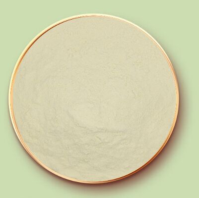 Un buon prezzo. CAS 9010-66-6 Proteina di mais in polvere Zein per rivestimenti di dolciumi e compresse in linea