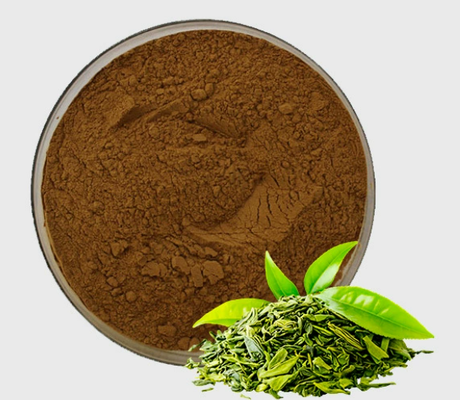 Un buon prezzo. Estratto di tè verde di alta purezza EGCG Antiossidante naturale Polvere di polifenoli di tè di grado cosmetico in linea